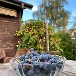 Farma Aktywnego Wypoczynku Dagaspa