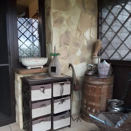 Farma Aktywnego Wypoczynku Dagaspa *