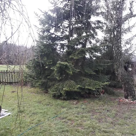 Farma Aktywnego Wypoczynku Dagaspa Repki