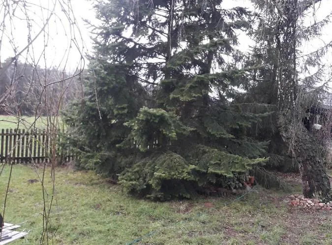 Farma Aktywnego Wypoczynku Dagaspa Repki