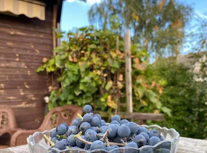 Farma Aktywnego Wypoczynku Dagaspa